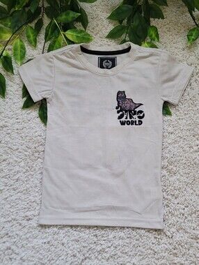 Little Boy Dinosaur Shirt (Size 4)